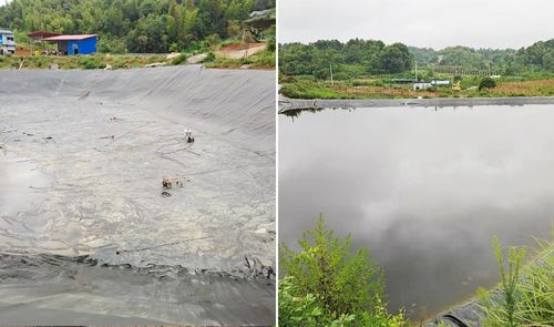 kasus perusahaan terbaru tentang Proyek anti seepage kolam ikan