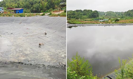 Geomembran HDPE Halus Berkinerja Tinggi dengan Perpanjangan Putus 700%, Ketahanan Kimia yang Sangat Baik, dan Lebar yang Dapat Disesuaikan untuk Akuakultur