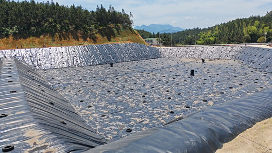 Geomembrane Lempar Polyethylene Densitas Tinggi Solusi yang Sempurna untuk Ketahanan Kimia
