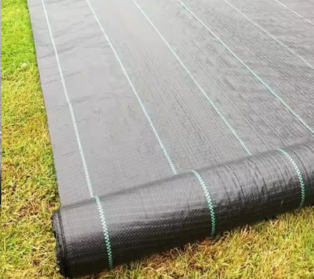 Filtrasi dan drainase yang sangat baik Black Polypropylene Woven Geotextile